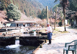 鈍川溫泉 新鮮釣魚炭火燒烤美食